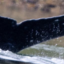 Fluke of HW-MN0401590
