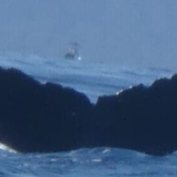 Fluke of HW-MN0445339