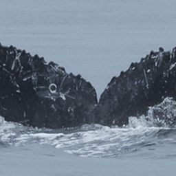 Fluke of HW-MN0440524