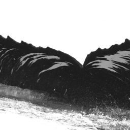 Fluke of HW-MN0503947
