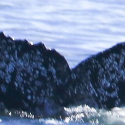 Fluke of HW-MN0805515