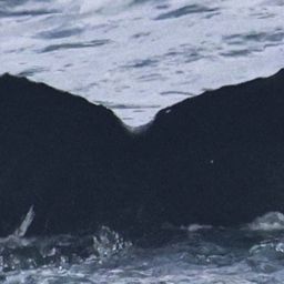Fluke of HW-MN0510904