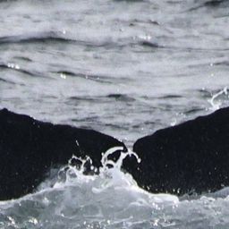 Fluke of HW-MN0510906