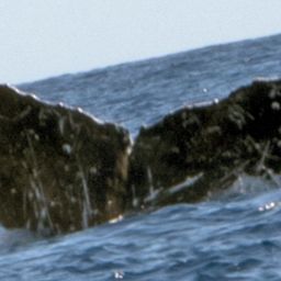 Fluke of CRC-13674