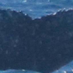 Fluke of HW-MN0805537