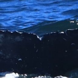 Fluke of HW-MN0805556