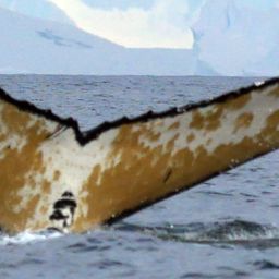 Fluke of HW-MN1300961