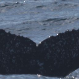 Fluke of HW-MN0805573
