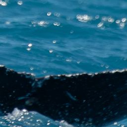 Fluke of HW-MN0805586