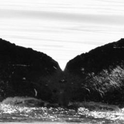 Fluke of Fader
