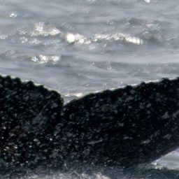 Fluke of HW-MN0805672