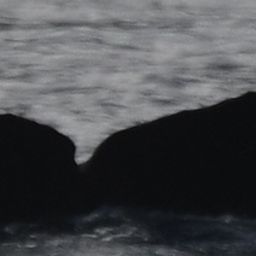 Fluke of HW-MN0445412