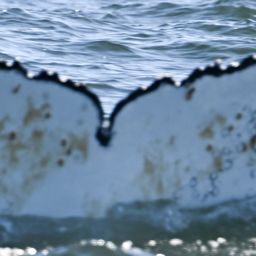 Fluke of HW-MN0805709