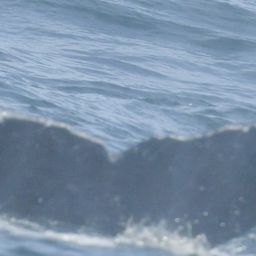 Fluke of HW-MN0805769