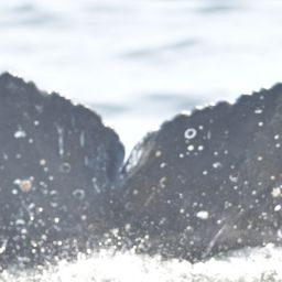 Fluke of HW-MN0805772