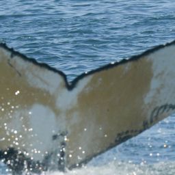 Fluke of HW-MN0805798
