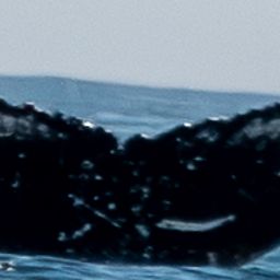 Fluke of HW-MN0805843