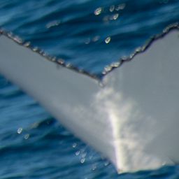 Fluke of HW-MN0805921