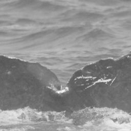Fluke of CRC-10568