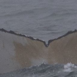 Fluke of HW-MN0805968