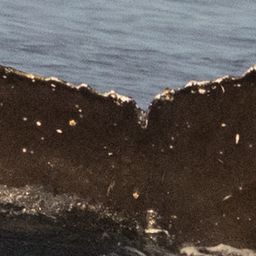 Fluke of HW-MN0805981
