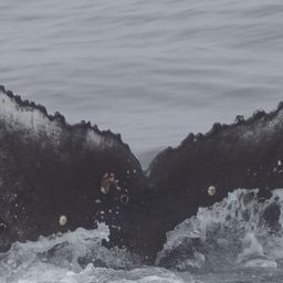 Fluke of HW-MN0806113
