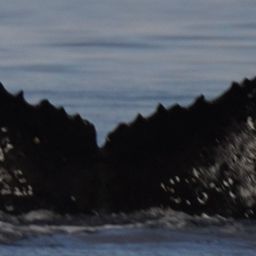 Fluke of HW-MN1308670