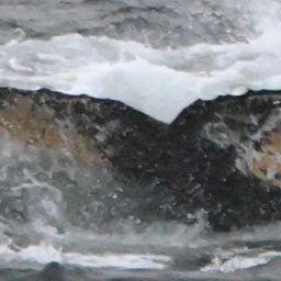 Fluke of HW-MN1308718