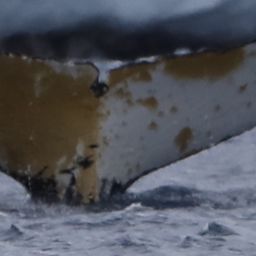 Fluke of HW-MN1308806