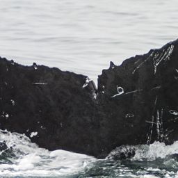 Fluke of CRC-10793