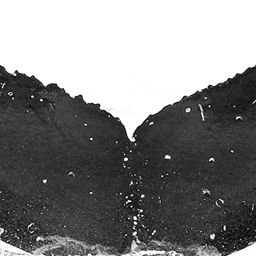 Fluke of HW-MN0440806
