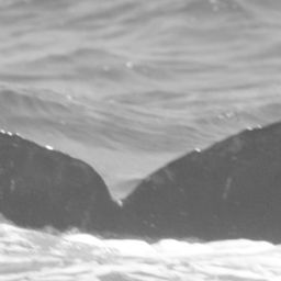 Fluke of CRC-15040