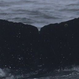 Fluke of CRC-23114