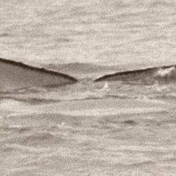 Fluke of GWAK-P084