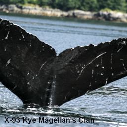 Fluke of Kye
