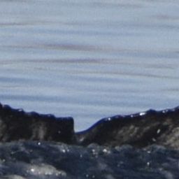Fluke of HW-MN0525245