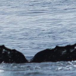 Fluke of HW-MN0445797