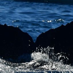Fluke of HW-MN0525299