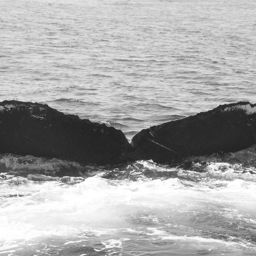 Fluke of CRC-10458