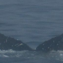 Fluke of 161079