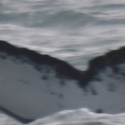 Fluke of 161227