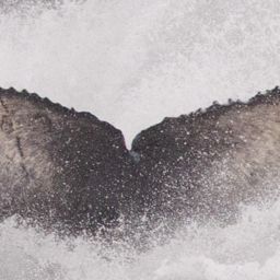 Fluke of Yádi