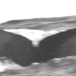 Fluke of CRC-15020
