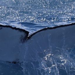 Fluke of 162078