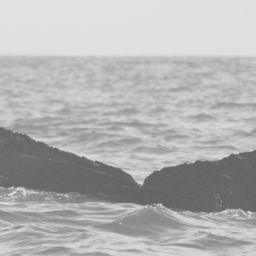 Fluke of CRC-12355