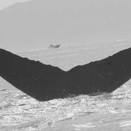 Fluke of CRC-10158