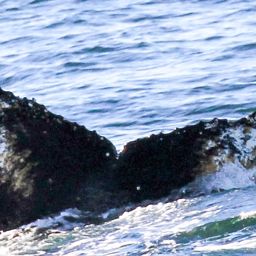 Fluke of HW-MN1301155