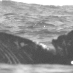 Fluke of CRC-15035