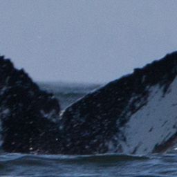 Fluke of CRC-16211