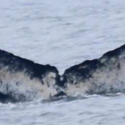 Fluke of CRC-10307